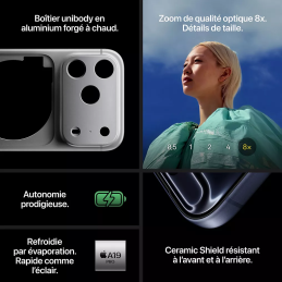APPLE iPhone 17 Pro Max Argent 2To